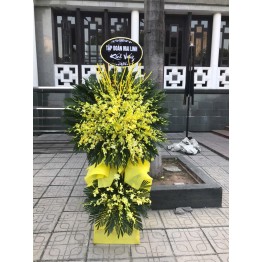 Cây Hoa Lan 2 tầng