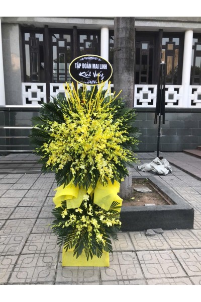 Cây Hoa Lan 2 tầng