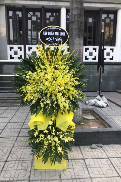 Cây Hoa Lan 2 tầng