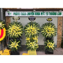 Cây hoa lan 2 tầng