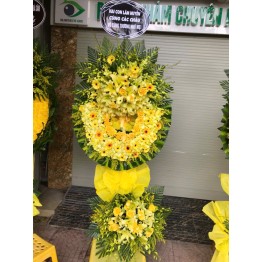 Cây đặc biệt chi tiết loại hoa