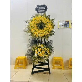 Cây đặc biệt chi tiết loại hoa