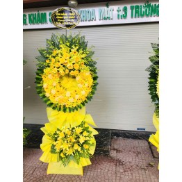 Cây đặc biệt chi tiết loại hoa