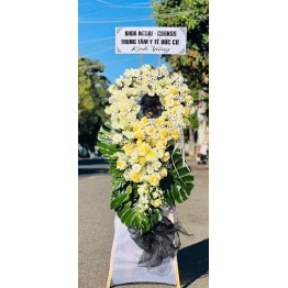 Cây đặc biệt chi tiết loại hoa