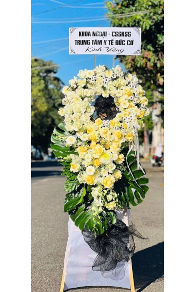 Cây đặc biệt chi tiết loại hoa