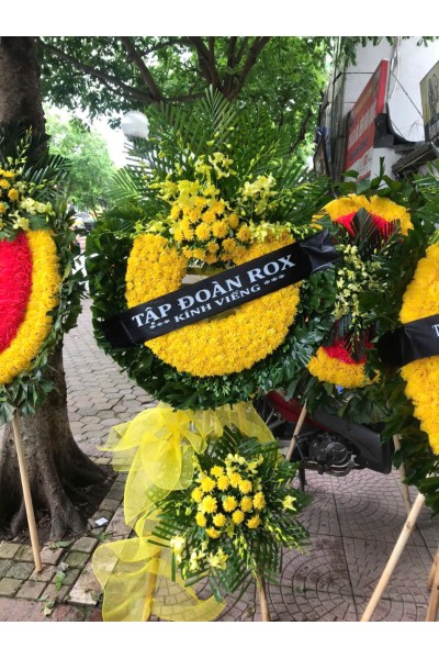 Cây Nguyệt Quế 2 tầng