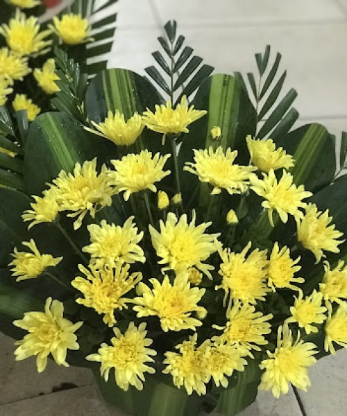 https://vonghoaviengducgianglongbien.com/image/cache/catalog/san-pham/vong-hoa-vieng/vong-hoa-vieng-himag-11-cr-500x600.jpg